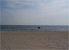 vacation rentals ct